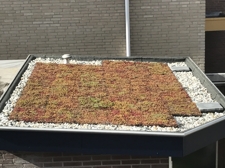 Dakterras of groendak de kroon op het werk