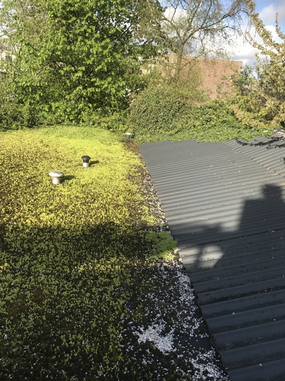 Onderhoud en levensduur van het dak