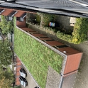 Groendak Vve Langestraat