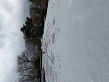 Garagedak en Carport in Goirle